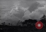 Image of Ford Experimental Farm Ways Georgia USA, 1939, second 24 stock footage video 65675037023