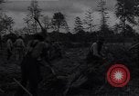 Image of Ford Experimental Farm Ways Georgia USA, 1939, second 28 stock footage video 65675037023