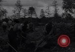 Image of Ford Experimental Farm Ways Georgia USA, 1939, second 32 stock footage video 65675037023