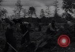 Image of Ford Experimental Farm Ways Georgia USA, 1939, second 34 stock footage video 65675037023