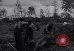 Image of Ford Experimental Farm Ways Georgia USA, 1939, second 41 stock footage video 65675037023