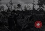 Image of Ford Experimental Farm Ways Georgia USA, 1939, second 42 stock footage video 65675037023