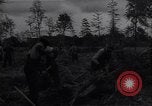 Image of Ford Experimental Farm Ways Georgia USA, 1939, second 43 stock footage video 65675037023