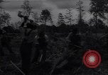 Image of Ford Experimental Farm Ways Georgia USA, 1939, second 44 stock footage video 65675037023