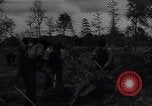 Image of Ford Experimental Farm Ways Georgia USA, 1939, second 45 stock footage video 65675037023