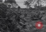 Image of Ford Experimental Farm Ways Georgia USA, 1939, second 48 stock footage video 65675037023