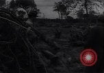 Image of Ford Experimental Farm Ways Georgia USA, 1939, second 53 stock footage video 65675037023