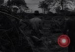 Image of Ford Experimental Farm Ways Georgia USA, 1939, second 54 stock footage video 65675037023