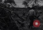 Image of Ford Experimental Farm Ways Georgia USA, 1939, second 55 stock footage video 65675037023