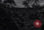 Image of Ford Experimental Farm Ways Georgia USA, 1939, second 58 stock footage video 65675037023