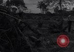 Image of Ford Experimental Farm Ways Georgia USA, 1939, second 60 stock footage video 65675037023
