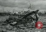 Immagine di Città distrutta dal tornado Michigan United States USA, 1964, secondo 12 filmato di repertorio 65675037038