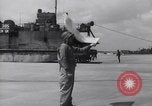 Standbild USA Verstärkungen ankommen in der Normandie Zweiten Weltkrieg Normandie Frankreich, 1944, aus Sekunde 7 historischem Filmmaterial Videoclip 65675037058