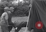 Immagine di 128Ospedale di evacuazione Francia, 1944, secondo 51 filmato di repertorio 65675037064