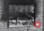 Image of bombed oil supply depot United Kingdom, 1944, second 55 stock footage video 65675037074