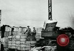 Image Préparation d'invasion sur la France United States USA, 1944, de la seconde 20 séquences d'archives historiques vidéo 65675037077