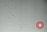 Image La puissance aérienne et les avions alliés pendant la Seconde Guerre mondiale Europe, 1944, de la seconde 39 séquences d'archives historiques vidéo 65675037078