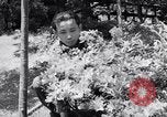 Image of project Japanese evacuation Japan, 1942, second 27 stock footage video 65675037091