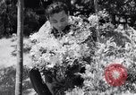 Image of project Japanese evacuation Japan, 1942, second 30 stock footage video 65675037091