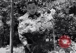 Image of project Japanese evacuation Japan, 1942, second 31 stock footage video 65675037091