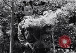 Image of project Japanese evacuation Japan, 1942, second 32 stock footage video 65675037091