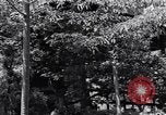 Image of project Japanese evacuation Japan, 1942, second 35 stock footage video 65675037091