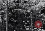 Image of project Japanese evacuation Japan, 1942, second 36 stock footage video 65675037091