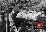 Image of project Japanese evacuation Japan, 1942, second 42 stock footage video 65675037091