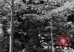 Image of project Japanese evacuation Japan, 1942, second 45 stock footage video 65675037091