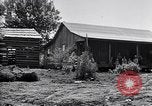 Image of New agriculture colony under Federal Emergency Relief Administration Arkansas United States USA, 1936, second 45 stock footage video 65675037099