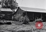 Image of New agriculture colony under Federal Emergency Relief Administration Arkansas United States USA, 1936, second 46 stock footage video 65675037099