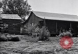 Image of New agriculture colony under Federal Emergency Relief Administration Arkansas United States USA, 1936, second 47 stock footage video 65675037099