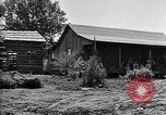 Image of New agriculture colony under Federal Emergency Relief Administration Arkansas United States USA, 1936, second 48 stock footage video 65675037099