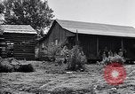 Image of New agriculture colony under Federal Emergency Relief Administration Arkansas United States USA, 1936, second 49 stock footage video 65675037099
