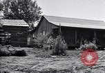 Image of New agriculture colony under Federal Emergency Relief Administration Arkansas United States USA, 1936, second 50 stock footage video 65675037099