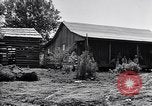 Image of New agriculture colony under Federal Emergency Relief Administration Arkansas United States USA, 1936, second 62 stock footage video 65675037099