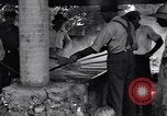 Immagine di Siccità sollievo dai civili durante la depressione England Arkansas USA, 1931, secondo 19 filmato di repertorio 65675037100