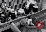 Immagine di Siccità sollievo dai civili durante la depressione England Arkansas USA, 1931, secondo 44 filmato di repertorio 65675037100