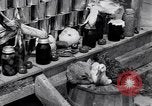 Immagine di Siccità sollievo dai civili durante la depressione England Arkansas USA, 1931, secondo 45 filmato di repertorio 65675037100