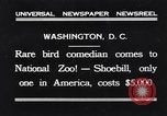 Immagine di Raro uccello Shoebill Washington DC USA, 1931, secondo 1 filmato di repertorio 65675037103
