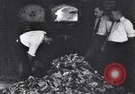 Image mutilés papier monnaie détruit Washington DC USA, 1931, de la seconde 39 séquences d'archives historiques vidéo 65675037104