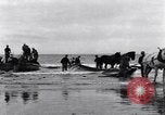 Image attraper le poisson de saumon Illwaco Washington USA, 1931, de la seconde 44 séquences d'archives historiques vidéo 65675037105
