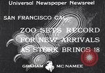 Image of infant cubs San Francisco California USA, 1933, second 1 stock footage video 65675037110
