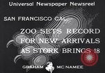 Image of infant cubs San Francisco California USA, 1933, second 3 stock footage video 65675037110