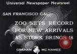 Image of infant cubs San Francisco California USA, 1933, second 7 stock footage video 65675037110
