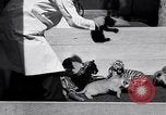 Image of infant cubs San Francisco California USA, 1933, second 22 stock footage video 65675037110