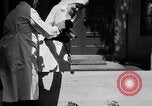 Image of infant cubs San Francisco California USA, 1933, second 24 stock footage video 65675037110