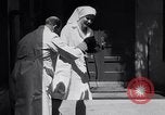 Image of infant cubs San Francisco California USA, 1933, second 25 stock footage video 65675037110