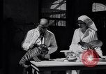 Image of infant cubs San Francisco California USA, 1933, second 31 stock footage video 65675037110