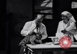 Image of infant cubs San Francisco California USA, 1933, second 32 stock footage video 65675037110